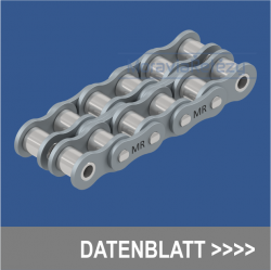 Rollenketten nach ANSI Standard